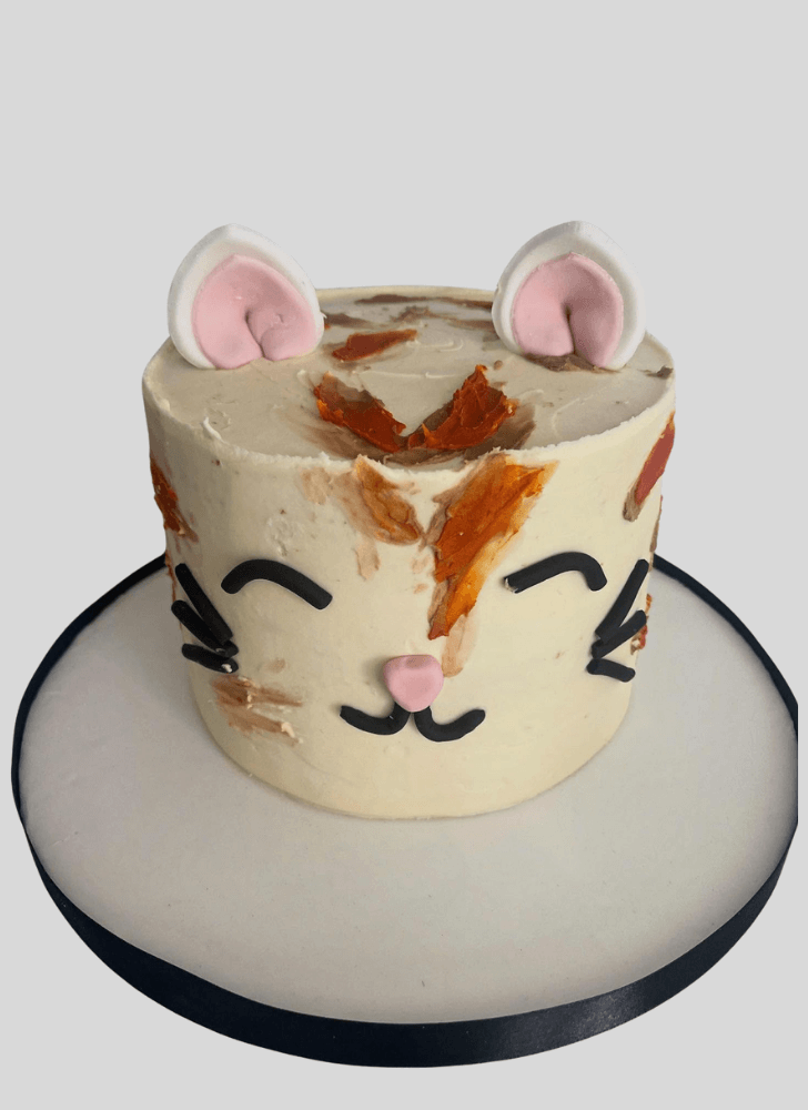 Adorable Cat Cake