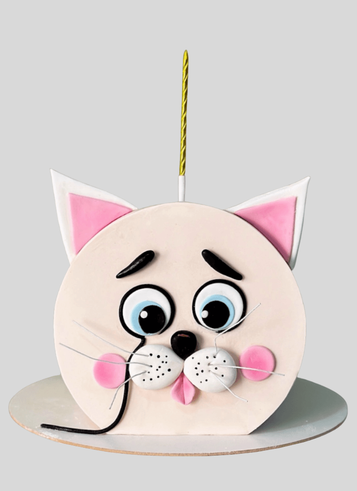 Bewitching Cat Cake