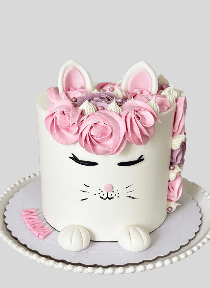 Exquisite Cat Cake
