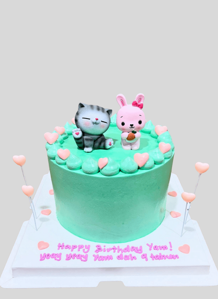 Fetching Cat Cake