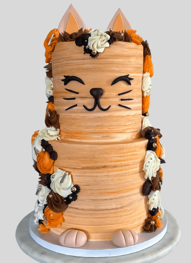 Good Looking Cat Cake