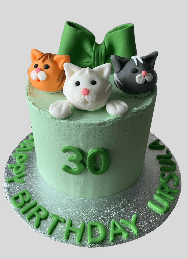 Handsome Cat Cake