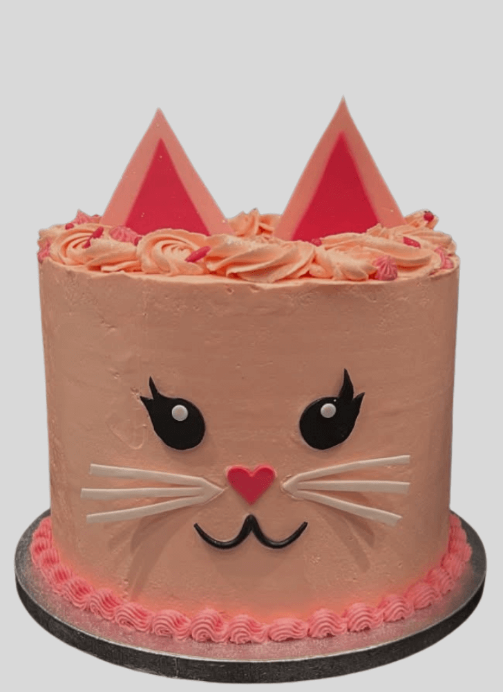 Inviting Cat Cake