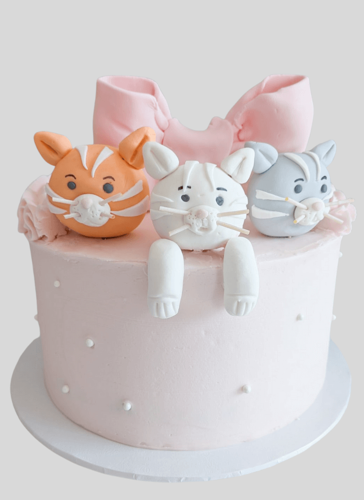 Radiant Cat Cake