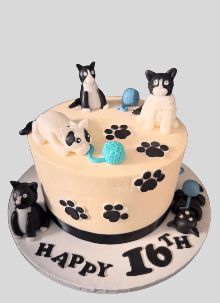 Stunning Cat Cake