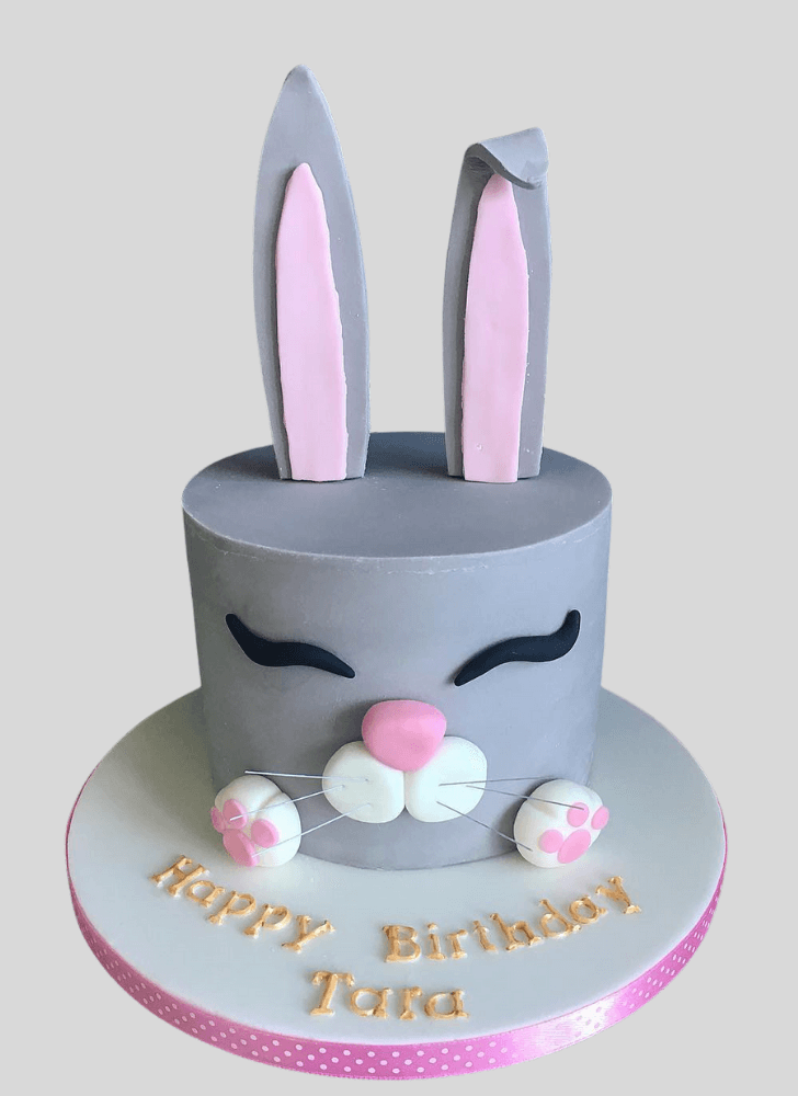 Hot Rabbit Cake