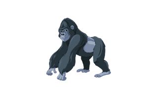 Ape
