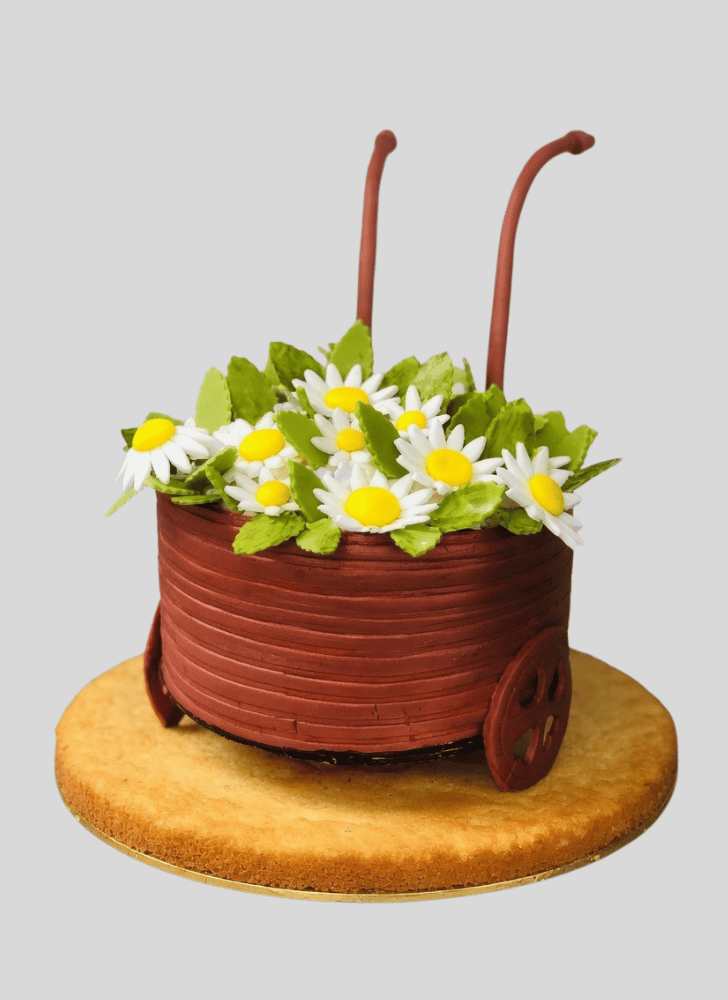 Captivating Daisy Cake