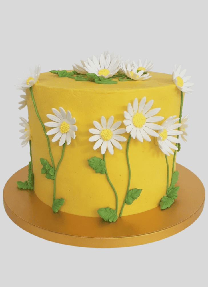 Classy Daisy Cake
