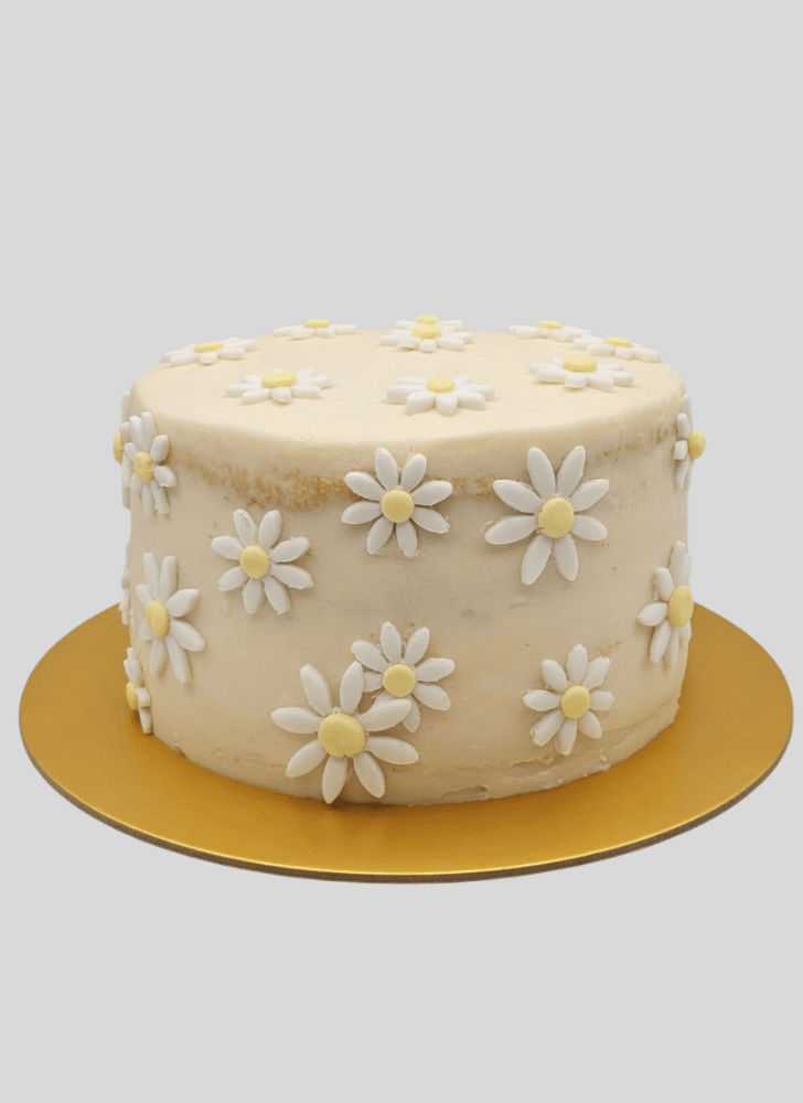 Comely Daisy Cake