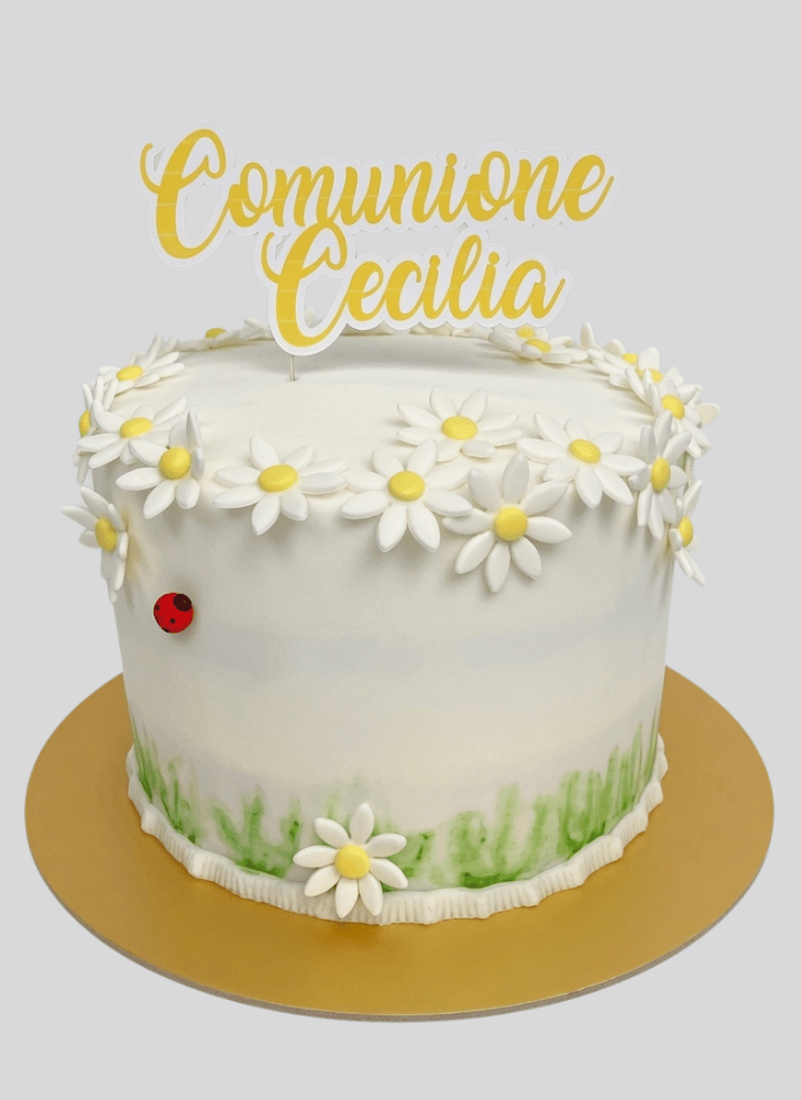 Fetching Daisy Cake