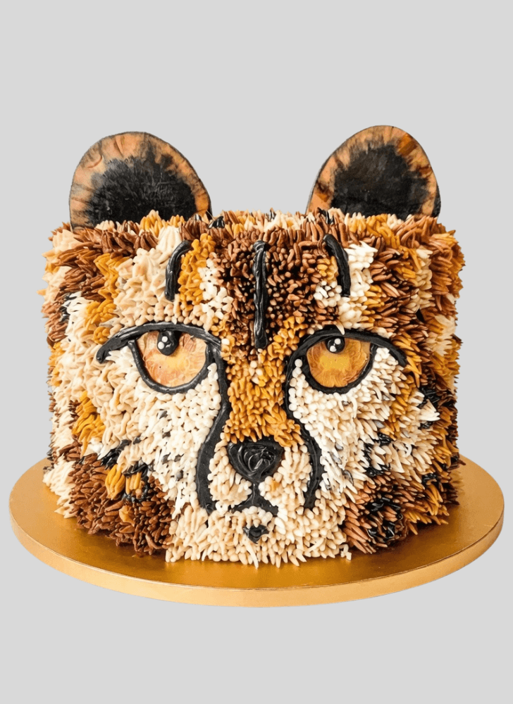Fair Cheetah Cake