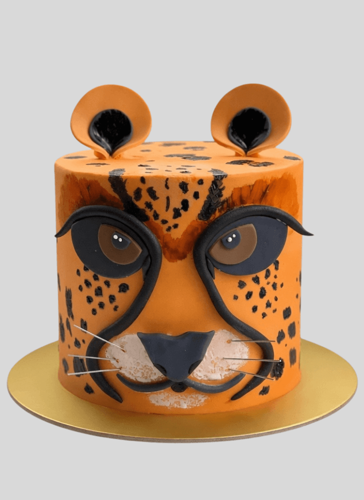 Pretty Cheetah Cake