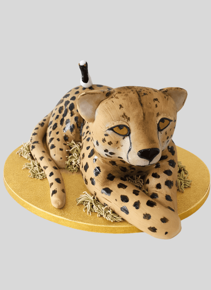 Refined Cheetah Cake