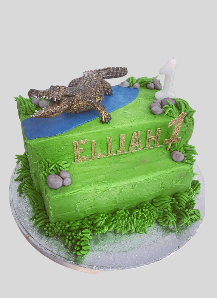 Ideal Crocodile Cake