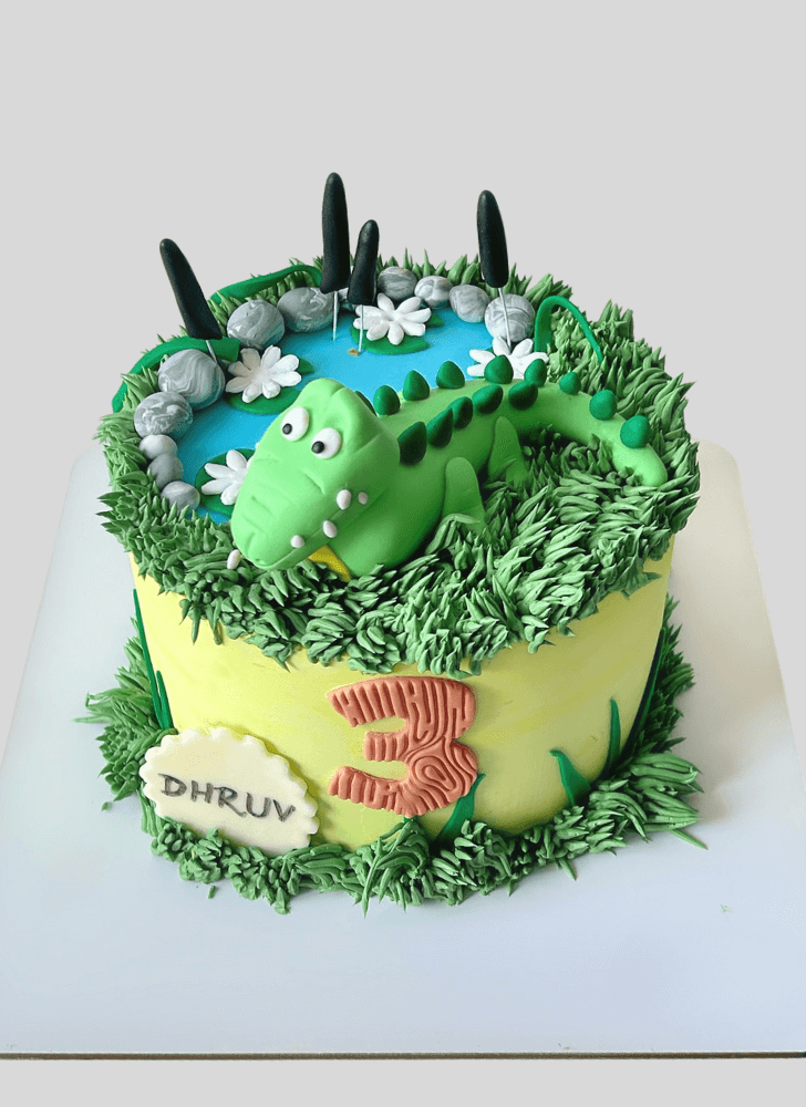 Magnetic Crocodile Cake