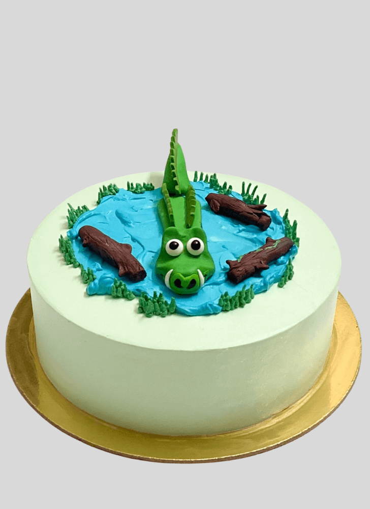 Nice Crocodile Cake