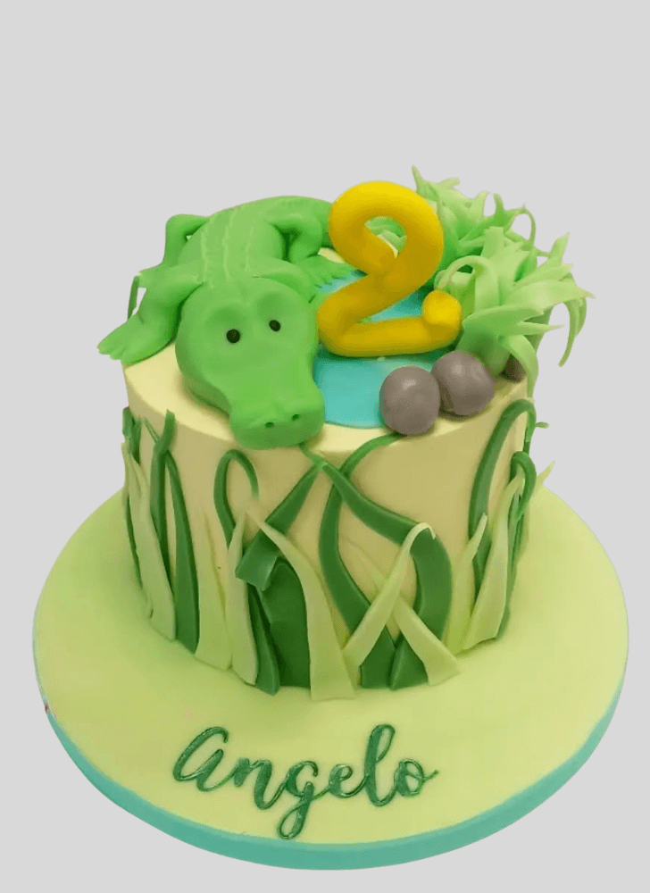 Slightly Crocodile Cake