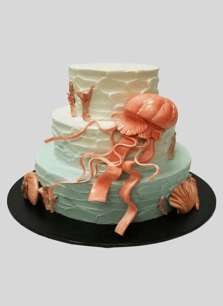 Magnetic Jellyfish Cake