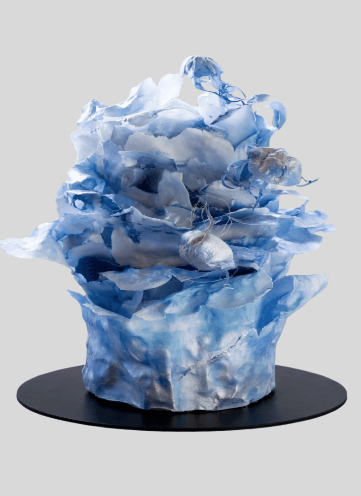 Superb Jellyfish Cake