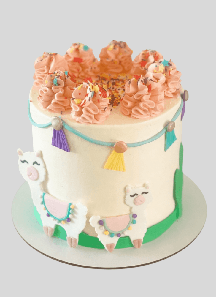 Appealing Llama Cake