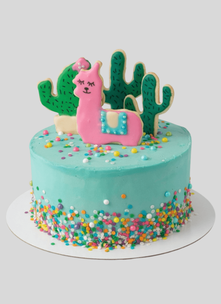 Comely Llama Cake