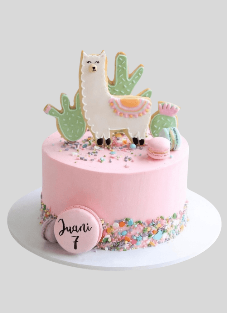 Delightful Llama Cake