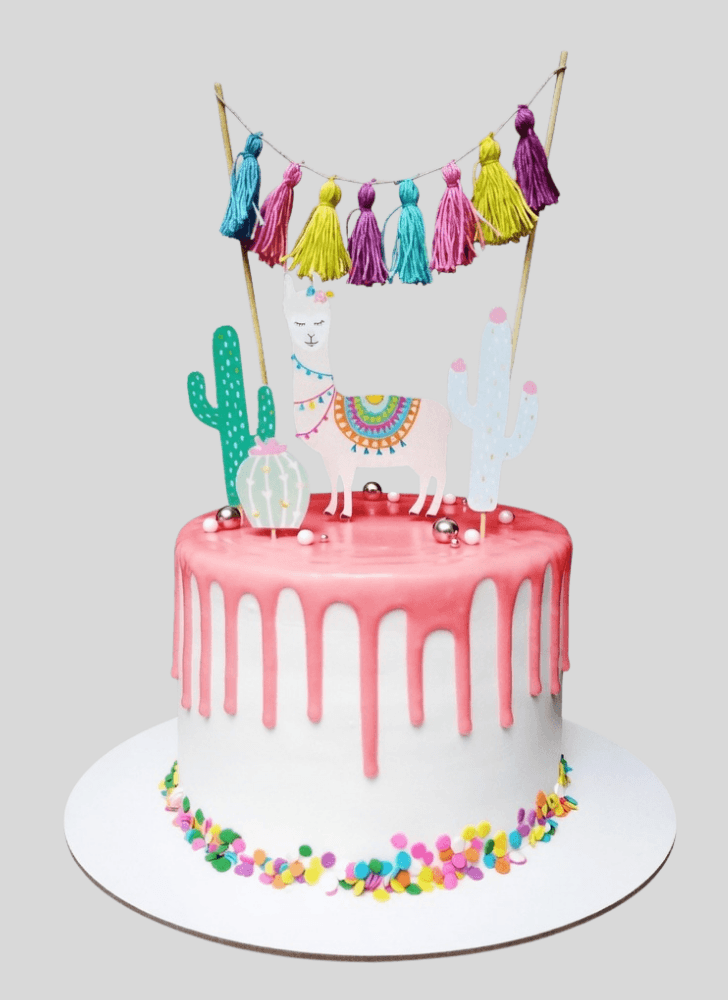 Enticing Llama Cake