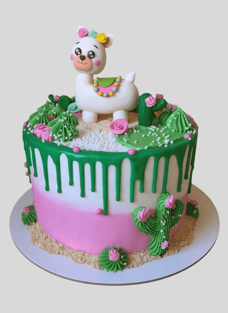 Fetching Llama Cake