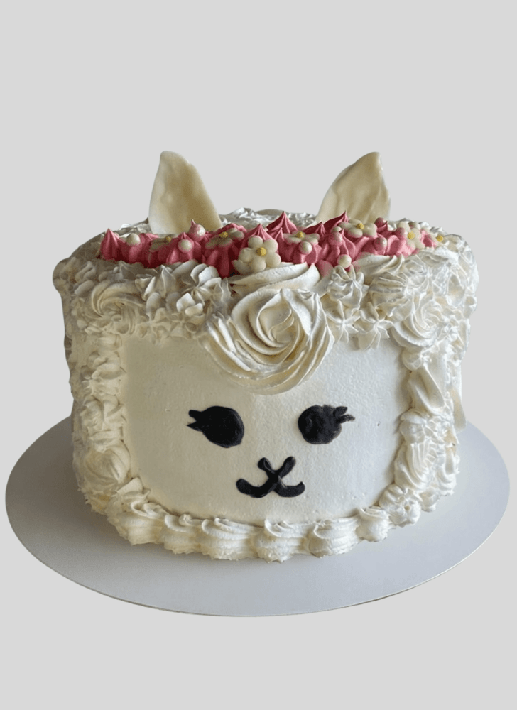 Fine Llama Cake