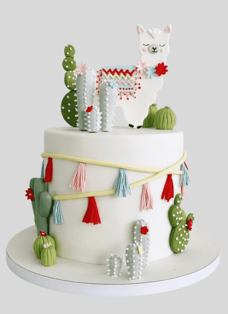 Good Looking Llama Cake