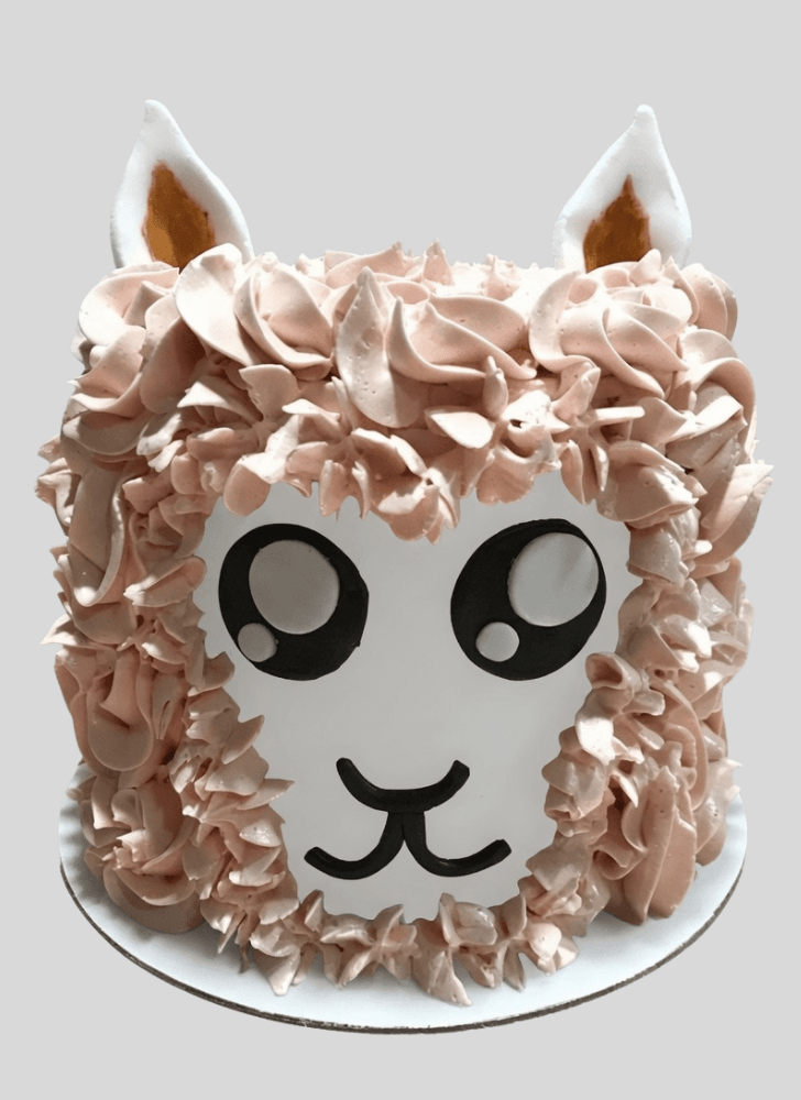 Gorgeous Llama Cake