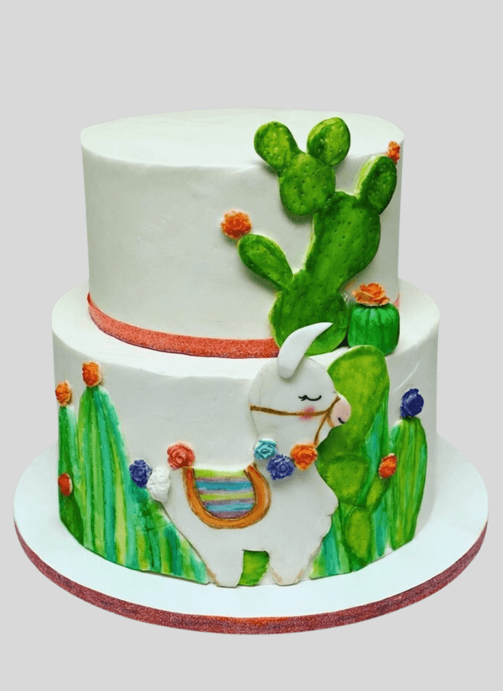 Radiant Llama Cake