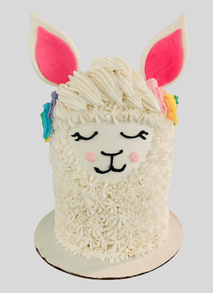 Slightly Llama Cake
