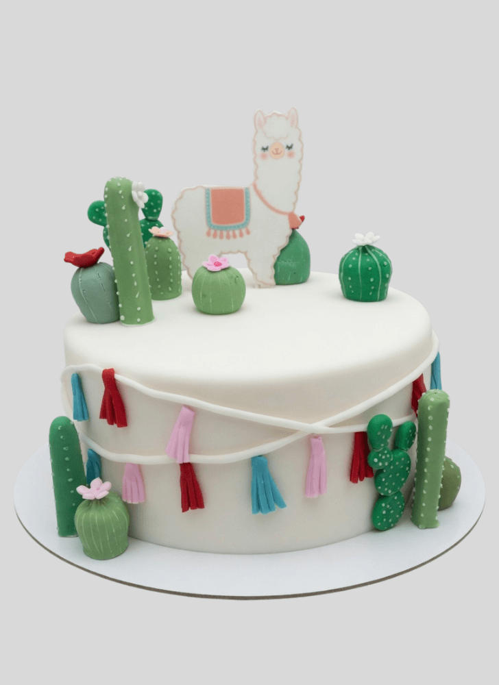 Splendid Llama Cake