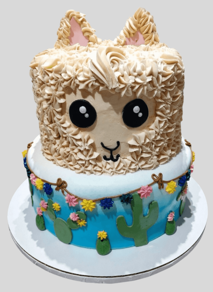 Wonderful Llama Cake Design