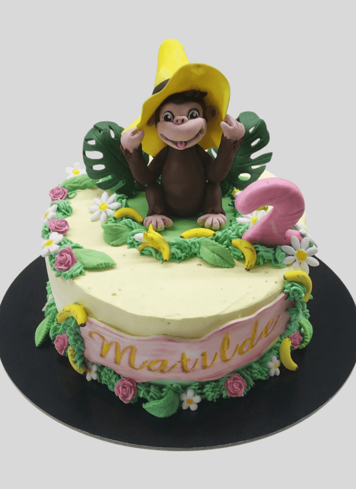 Fair Monkey Cake