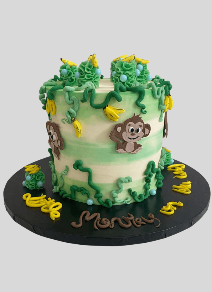 Fetching Monkey Cake