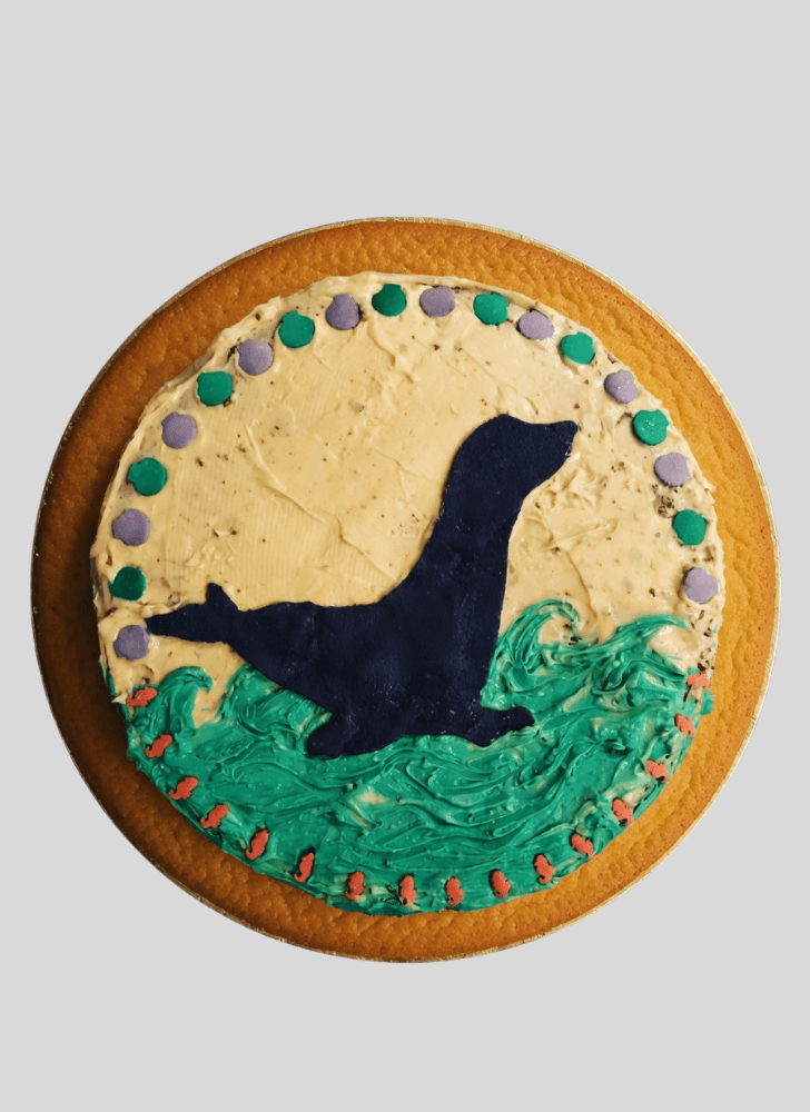 Fair Seals Cake