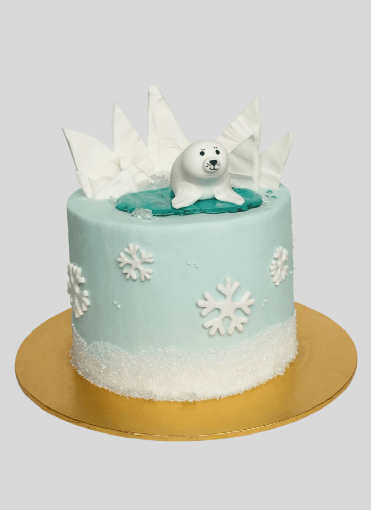 Gorgeous Seals Cake