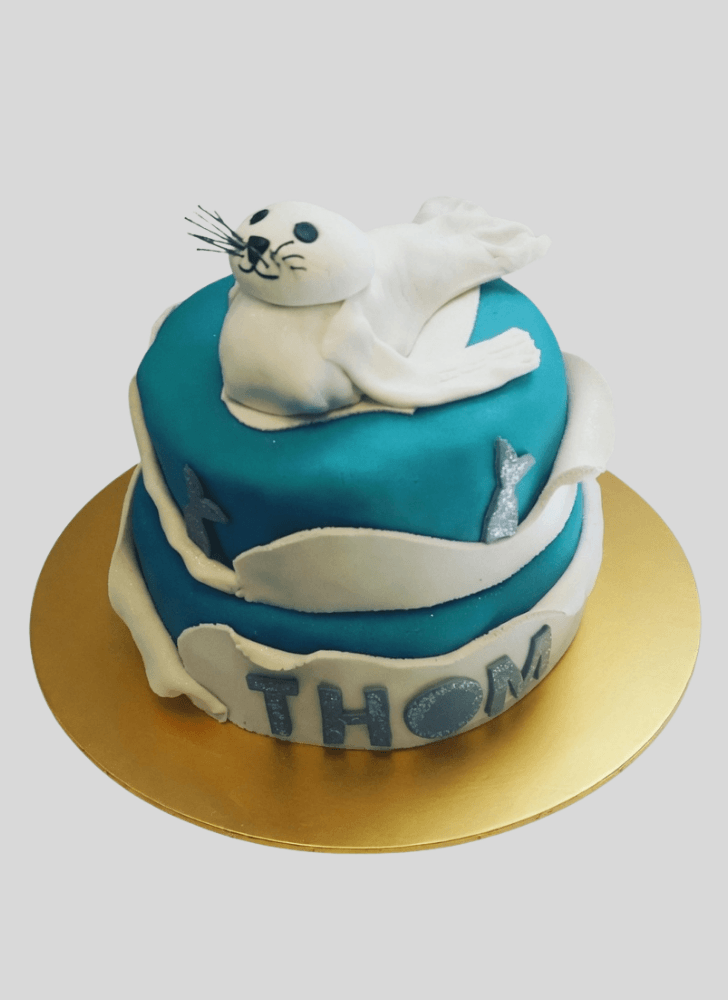 Magnetic Seals Cake