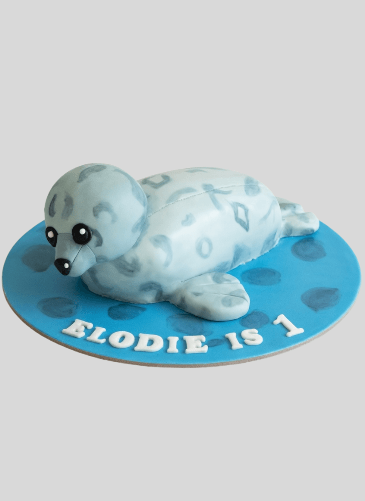 Nice Seals Cake