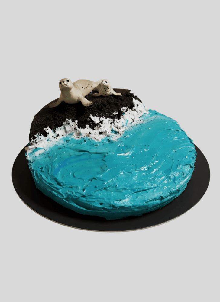 Slightly Seals Cake
