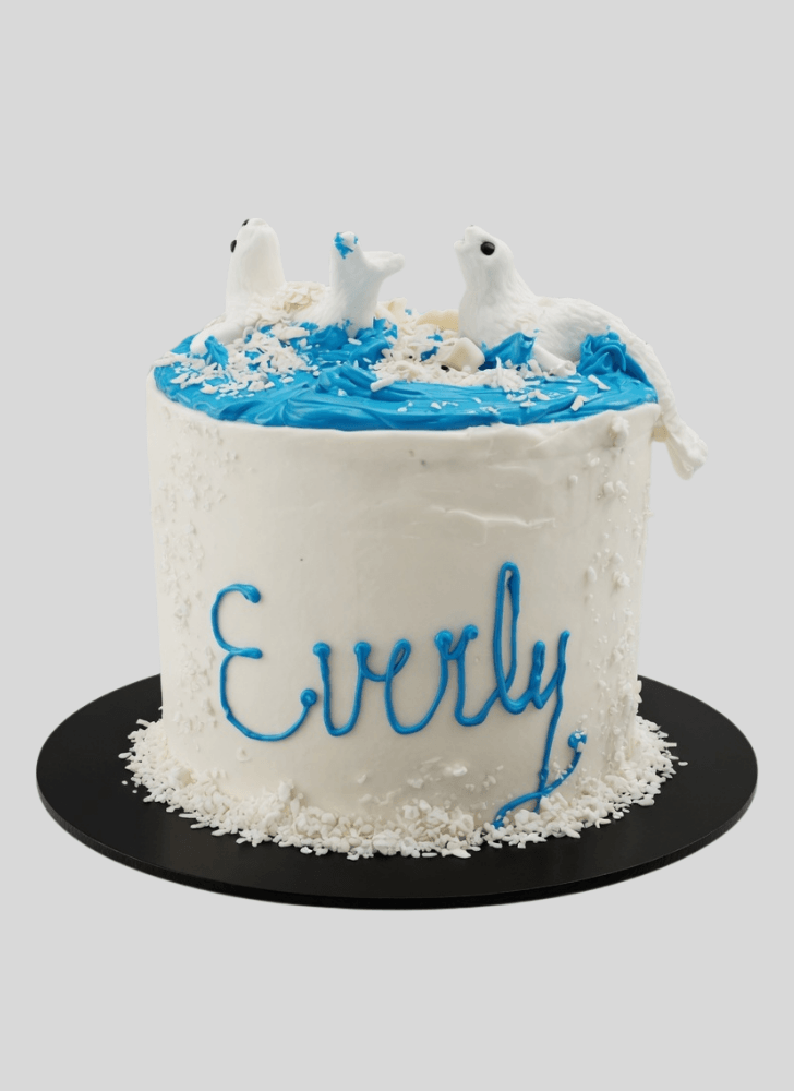 Splendid Seals Cake