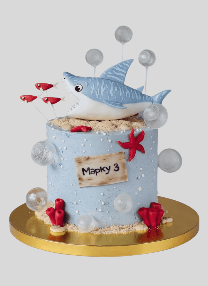 Bewitching Shark Cake