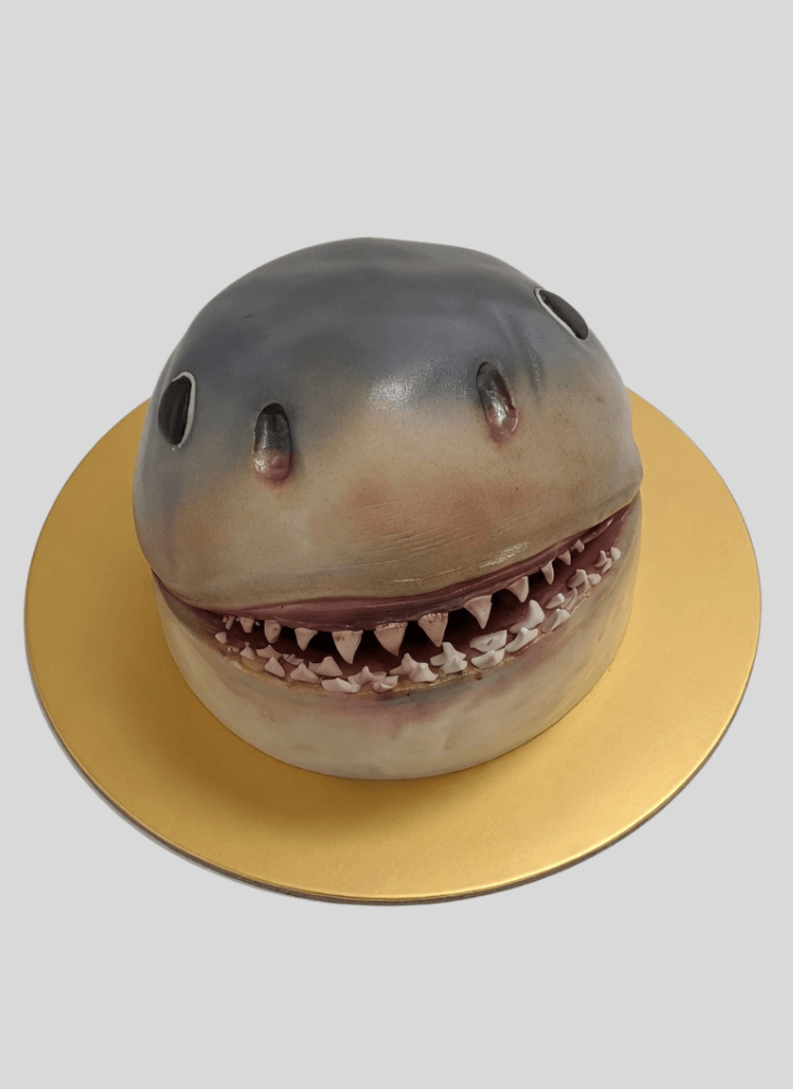 Classy Shark Cake