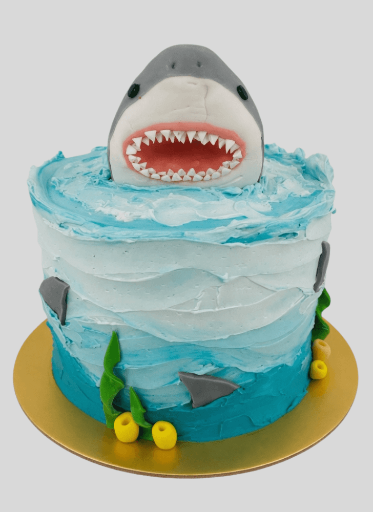 Cute Shark Cake