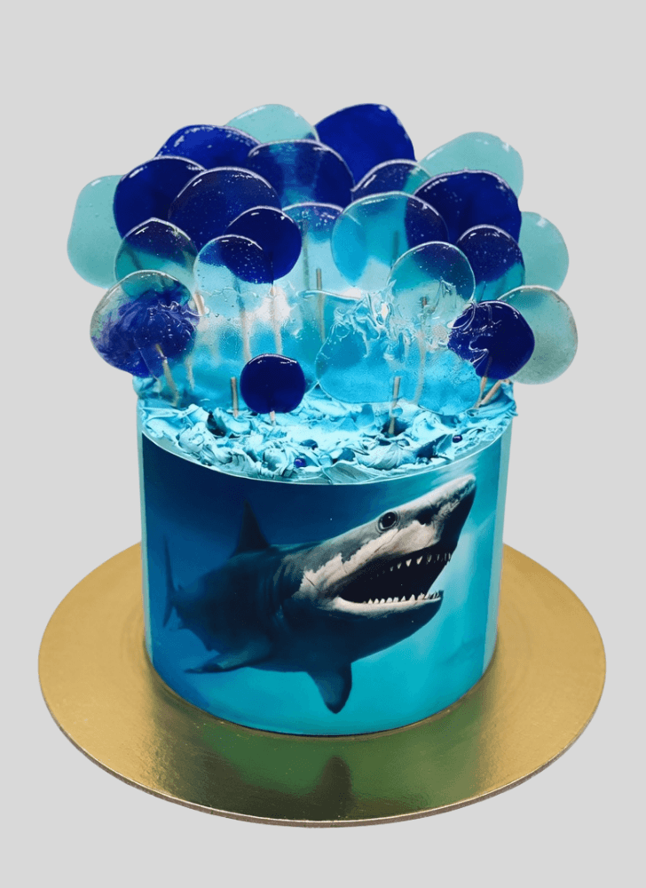 Divine Shark Cake