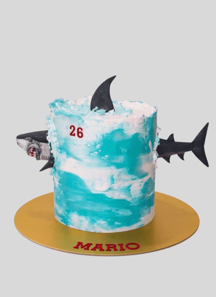 Elegant Shark Cake