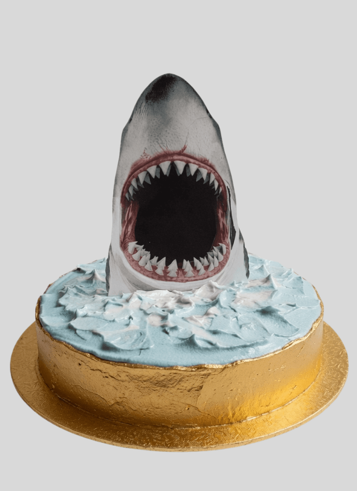 Excellent Shark Cake